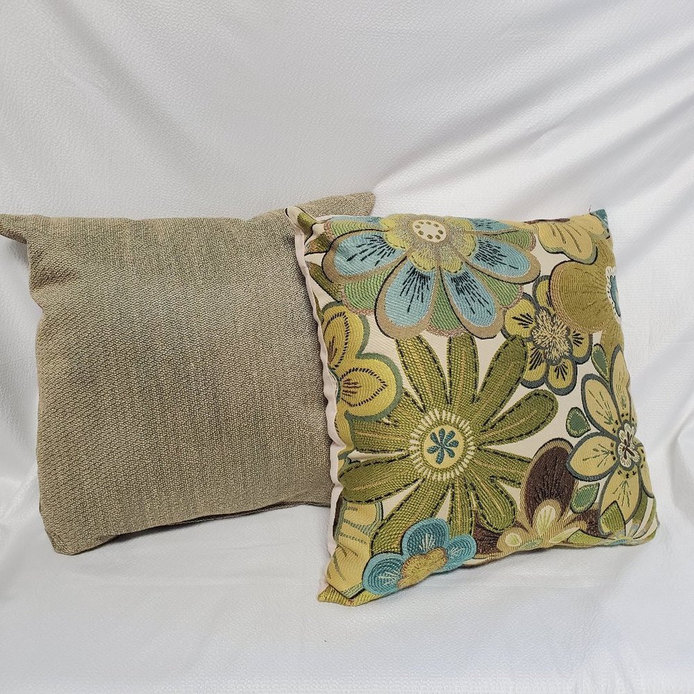 Set of 2 Coordinating Accent Pillows